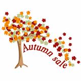 Tree autumn sale