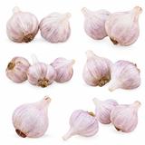 Set of purple garlics