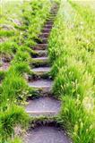 Steps in the grass