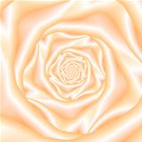 Pale Peach Spiral Rose