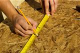 Worker Measuring Plywood
