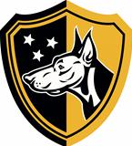 Doberman Guard Dog Stars Shield