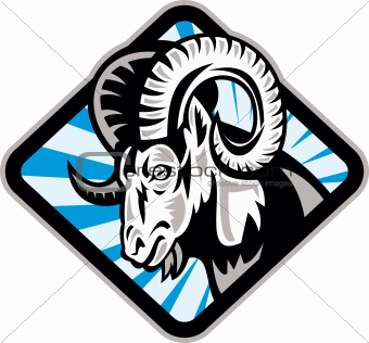 Bighorn Ram Sheep Goat
