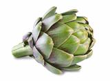 artichoke