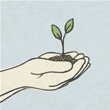 Hands with green sprout and dirt heap. Hand-drawn vector illustr