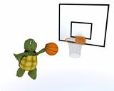tortoise playing basket ball