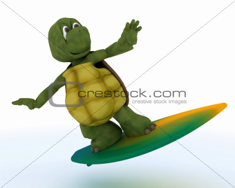 tortoise with surf board