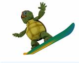  tortoise riding a snowboard