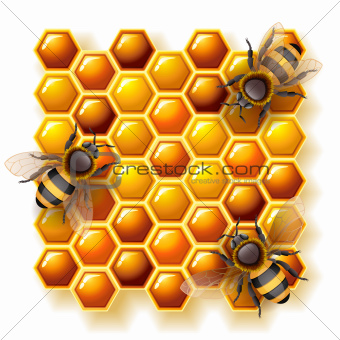 bees and honey