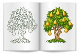 pear tree with ripe fruits on book spread