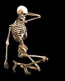 skeleton crouching