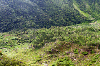 Green valley, Sri Lanka