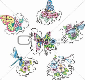 Butterflies and dragonflies on flowers
