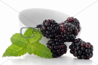 Blackberries in White Bowl