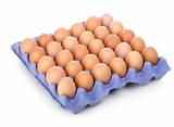 Eggs in a carton isolated