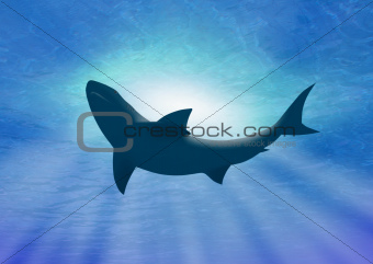 Deep under water shark