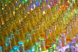 Rows of Glass Bottles