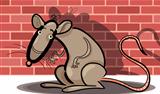 cartoon rat against brick wall
