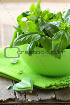 fresh green basil on a wooden table