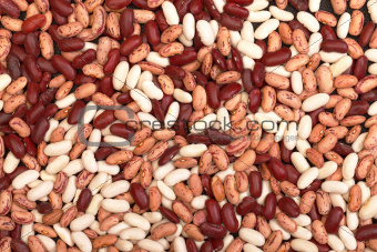 multicolored kidney haricot beans