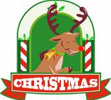Reindeer Deer Stag Buck Christmas
