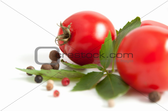 tomatoes and spices 