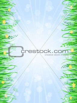 Grass Frame Background