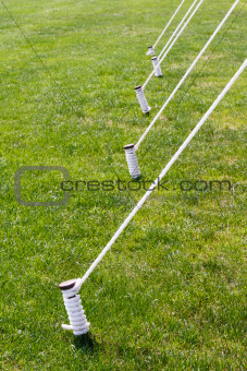 Five Tied Tent Stakes
