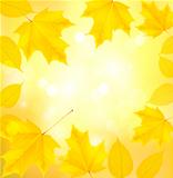 Autumn background with yellow leaves  Back to school illustration