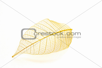 golden leaf