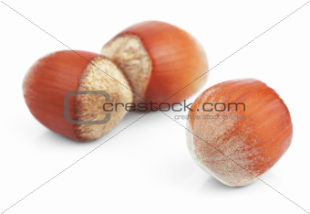 Nuts filberts isolated on white