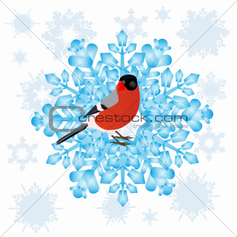 Bullfinch and a snowflake