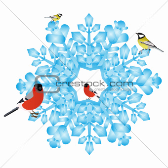 Bullfinch and tits on a snowflake
