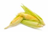 Corn cobs