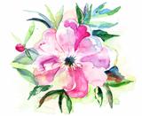 Stylized Pink flower, watercolor illustration 