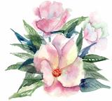 Stylized Pink flower, watercolor illustration 