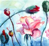 Roses with poppy flowers, Watercolor painting 