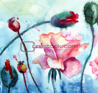 Roses with poppy flowers, Watercolor painting 