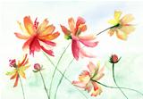 Colorful watercolor illustration with beautiful flowers