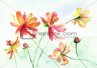 Colorful watercolor illustration with beautiful flowers