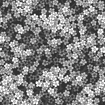 vector seamless small white flowers abstract pattern background