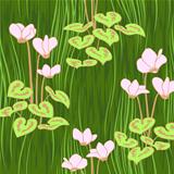 vector seamless pink ciklamen flowers pattern background