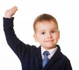 Small schoolboy raises his hand for answer
