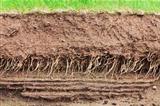 Soil cross section