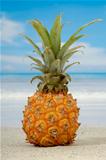 Pineapple and exotic beach