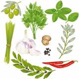 Spices and Herbs