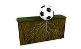 soccer ball with big roots