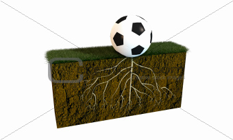 soccer ball with big roots