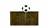 soccer ball with big roots 