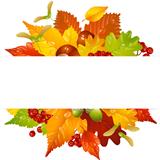 Vector autumn frame with fall leaf, chestnut, acorn and ashberry